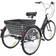 PINYELIN Tricycle - Black