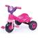 Dolu My First Unicorn Trike with Parent Handle