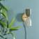 ValueLights Plug in Gold Up & Down Easy Fit Khaki/Cream Wall light