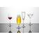 Schott Zwiesel Special Cocktailglas 27cl 4st
