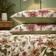 Wylder Nature Wall Flower Påslakan Beige (230x220cm)