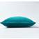 Homescapes Super Soft Coussin de chaise Vert (40x40cm)