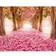 Origin Murals Blossom Trees M0754003211467