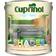 Cuprinol Garden Shades Wood Protection Wild Thyme 1L