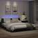vidaXL LED Light Sengeramme 180x200cm