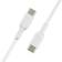 Belkin USB C - USB C M-M 2-pack 3.3ft
