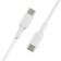 Belkin USB C - USB C M-M 2-pack