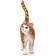 Schleich Cat 13836