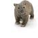 Schleich Wombat 14834