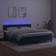 vidaXL LED Light Velvet Cama Continental