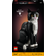 LEGO Ideas Tuxedo Cat 21349