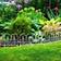 Dundee Deco Garden Fence 12 pcs