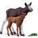 Schleich Wild Life Moose with Calf 42603