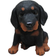 Hitseller Dachshund Puppy Sitting Black/Brown Dekorationsfigur 17cm