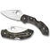 Spyderco C28ZFPGR2 Fickkniv