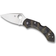 Spyderco C28ZFPGR2 Fickkniv