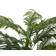 Europalms Areca Palme Green Kunstig plante