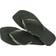 Havaianas Square Logo Metallic - Green/Olive