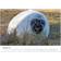 Calvendo Gray Seal Pups Of Donna Nook Wall Calendar 2025 A4