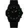 Luminox (XS.3141.BO.1)