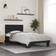 vidaXL Engineered Wood 75x190cm