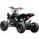 Megaleg EL ATV Brushless Shaft 800W 48V