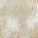 Think Rugs Creation Botanical Leaf Gold 160x230cm