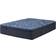 Serta Perfect Sleeper Cobalt Calm Bed Mattress