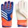 Adidas Predator Match Goalkeeper Gloves - Lucid Blue/Solar Red/White