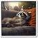 Stupell Raccoon Relaxing Headphones White Framed Art 17x17"