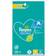 Pampers Fresh Clean Baby Wipes 1200pcs