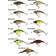 Westin Buzzbite Clear Brown Craw 4cm 4gram