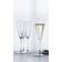 Spiegelau Willsberger Anniversary Champagneglas 25.1cl 4st
