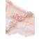 Dream Angels Rosebud Embroidery Thong Panty - Pink Fizz