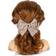 Konges Sløjd Doll Hair Salon