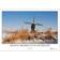 Calvendo 2025 Beautiful Windmills in the Netherlands Wall Calendar A3 Landscape