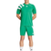 adidas Fortore 23 shorts - Team Green/White