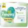 Pampers Harmonie New Baby Wipes 184pcs