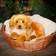 Living Nature Golden Retriever 60cm