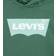 Levi's Boy's Lvb Batwing Pullover Hoodie - Dark Forest