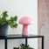 Dyberg Larsen Jenny Mushroom Lyserød Bordlampe 23cm