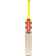 Gray-Nicolls 1.0 Warrior Junior Kashmir Willow - 2024