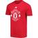 adidas Men Manchester United DNA Graphic T-Shirt