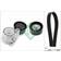 INA Poly-V-Riem Set 529 0311 10
