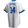 Nike Men's Ernie Banks Chicago Cubs Coop Player Replica Jersey