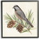 Stupell Bird On Pine Tree Black Framed Art 24x24"