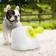 Geni-Store Automatic Ball Launcher Interactive Fetch Toy Machine For Dogs