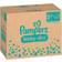 Pampers Baby-Dry Diapers Size 5+ 12-17kg 168pcs