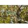 Gardena 691-20 Buesag