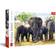 Trefl African Elephants